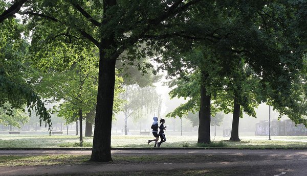 les exercices de fitness pour travailler vos muscles du dos et de la poitrine